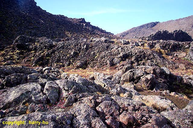 01_03-3-Whakapapa-1