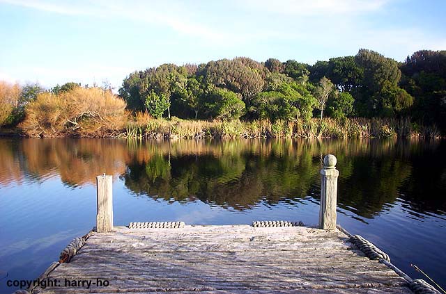 15_12-1-Manukau-1