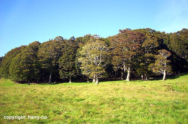 16_20-2-Takaka-2