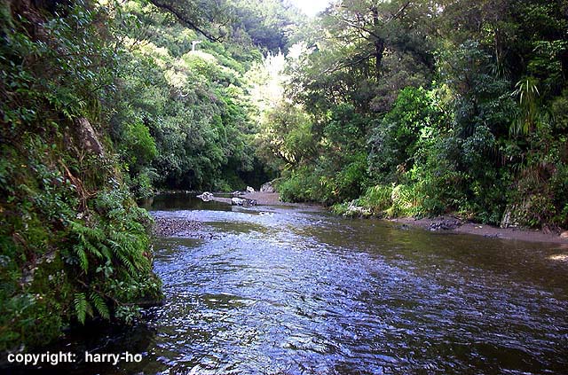 23_11-2-Kaitoke-2