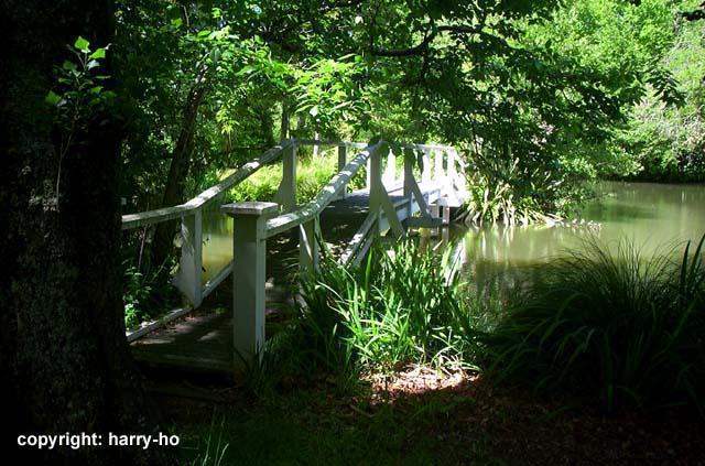 40_10-2-Fernside-2