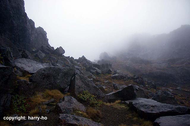 56_03-6-Whakapapa-4