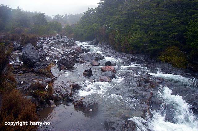 78_03-8-Ohakune-2