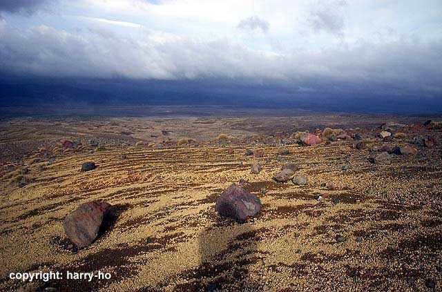 93_04-3-Tukino-3