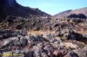01_03-3-Whakapapa-1