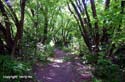 02_29-3-Arrowtown-1