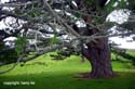 06_02-3-Matamata-3