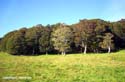 16_20-2-Takaka-2