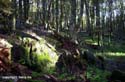 18_20-6-Takaka-6