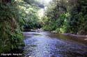 23_11-2-Kaitoke-2