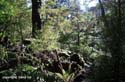 24_11-3-Kaitoke-3