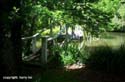 40_10-2-Fernside-2