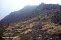 54_03-5-Whakapapa-3