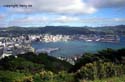 17-Wellington
