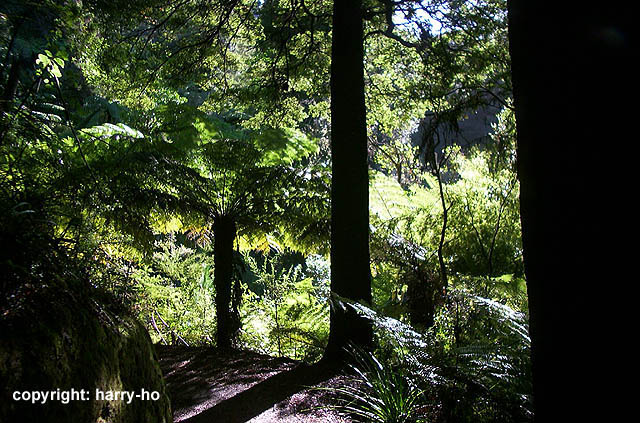 05-05_2_Abel-Tasman-2