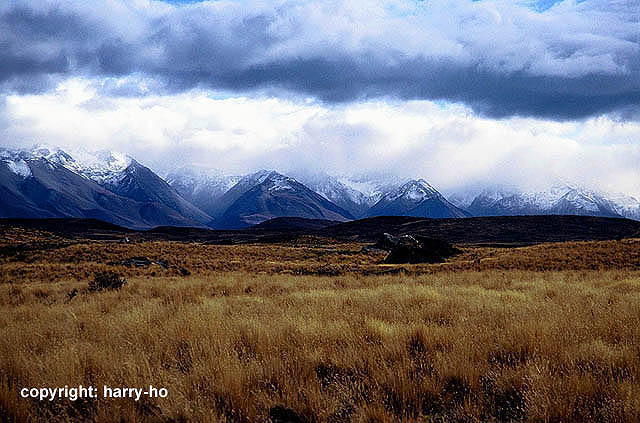 05-09_2_Tekapo