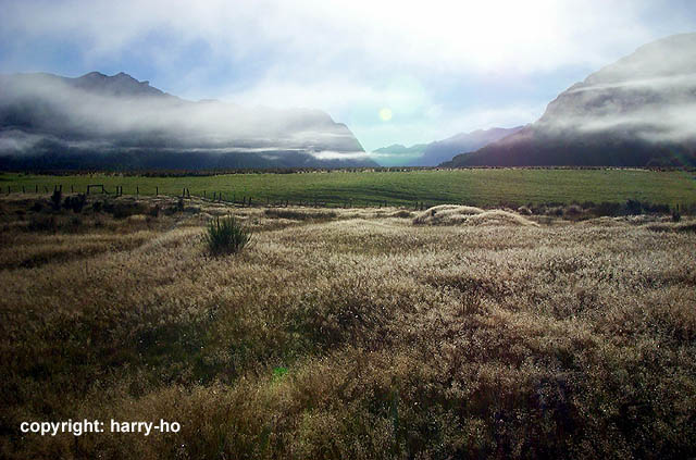 05-15_1_Milford-Road-1