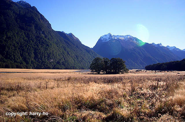 05-15_3_Milford-Road-2