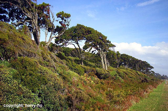 05-21_4_Haast