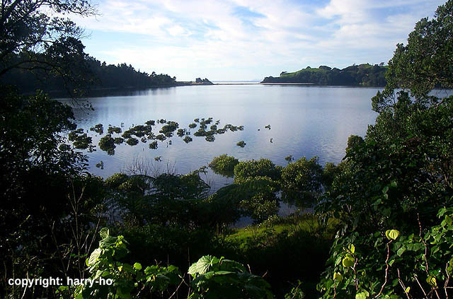 06-03_1_Coromandel-1