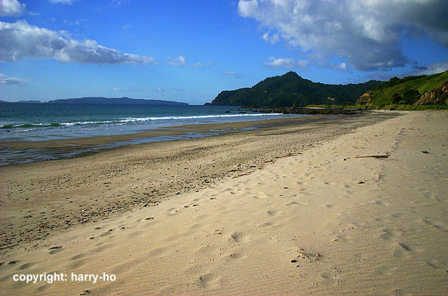 06-03_3_Coromandel-3