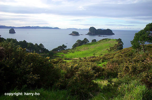 06-04_5_Coromandel-5