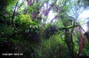 05-11_2_Catlins