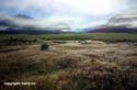 05-15_1_Milford-Road-1