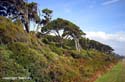 05-21_4_Haast